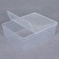 BraPlast Breeding Box 50pcs 25x19x7,5cm 3L TRANSPARENT - Container with a flap and ventilation