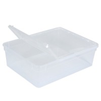 BraPlast Pojemnik Hodowlany 10szt 25x19x7,5cm 3L TRANSPARENT  Pudełko z Klapą i wentylacją