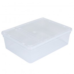BraPlast Pojemnik Hodowlany 10szt 25x19x7,5cm 3L TRANSPARENT  Pudełko z Klapą i wentylacją