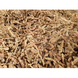 Sphagnum Moss for rooting plants Peat Spagmoss