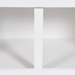 White Reptile Cage for Bearded Dragon