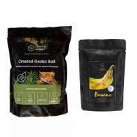 Product Set - Bedding for Crested Gecko + food for geckos BANANA