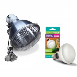Product set Clamp Lamp for basking bulbs + UVA 3200K Solar Basking Floodlight-75W Heating Bulb