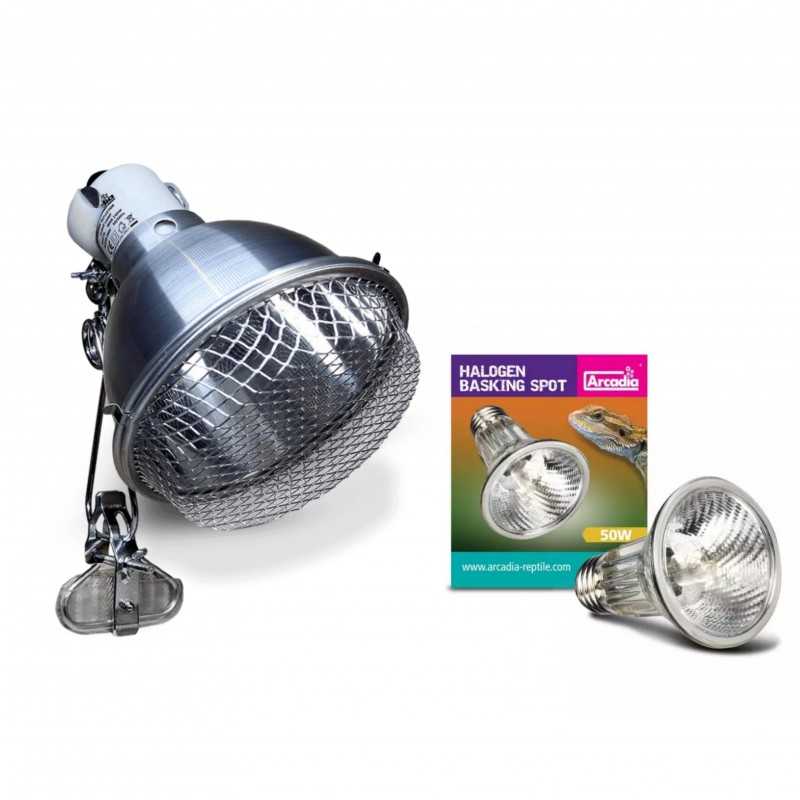 Product set Clamp Lamp for basking bulbs + Heating light bulb Halogen Basking Spot 50W