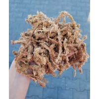 Mech Torfowiec Sphagnum Spagmoss 500g - Podłoże dla Żab, do Terrarium, dla Płazów i Gadów