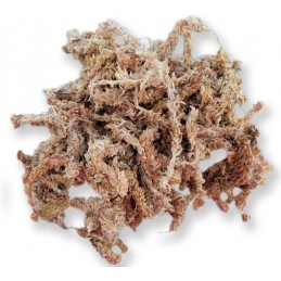 Sphagnum Moss Spagmoss 150g - Mech Torfowiec do Terrarium i Wiwarium