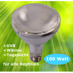 Lampa do terrarium UVB o mocy 100 W