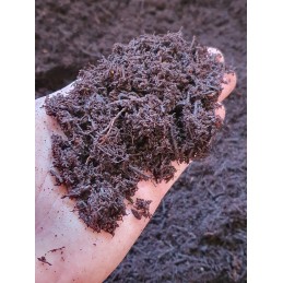 Fernwood Orchid - Soil for Plants with Soft Roots of New Zealand Tree Ferns.