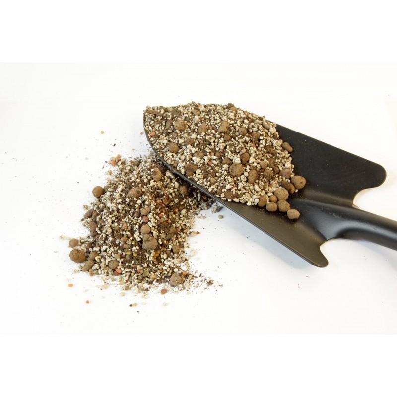 Substrate for CACTI and SUCCULENTS | IMSOIL