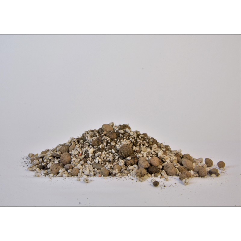 Substrate for CACTI and SUCCULENTS | IMSOIL