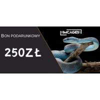 Gift Card 250 PLN