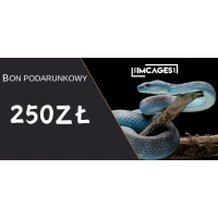 Karta Podarunkowa 250zł