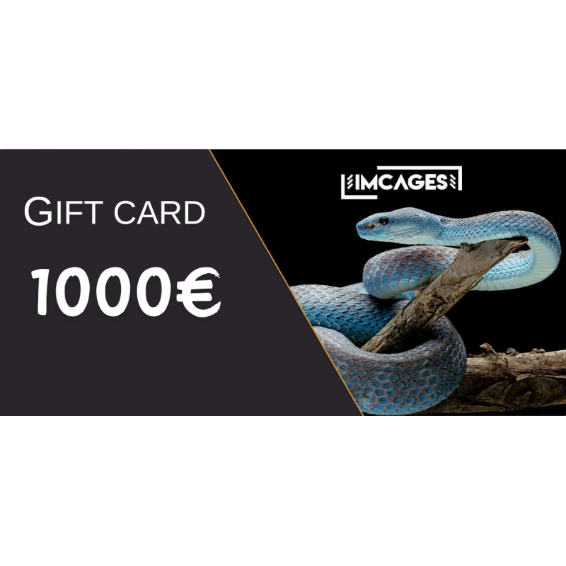Gift Card 1000 euros - imcages