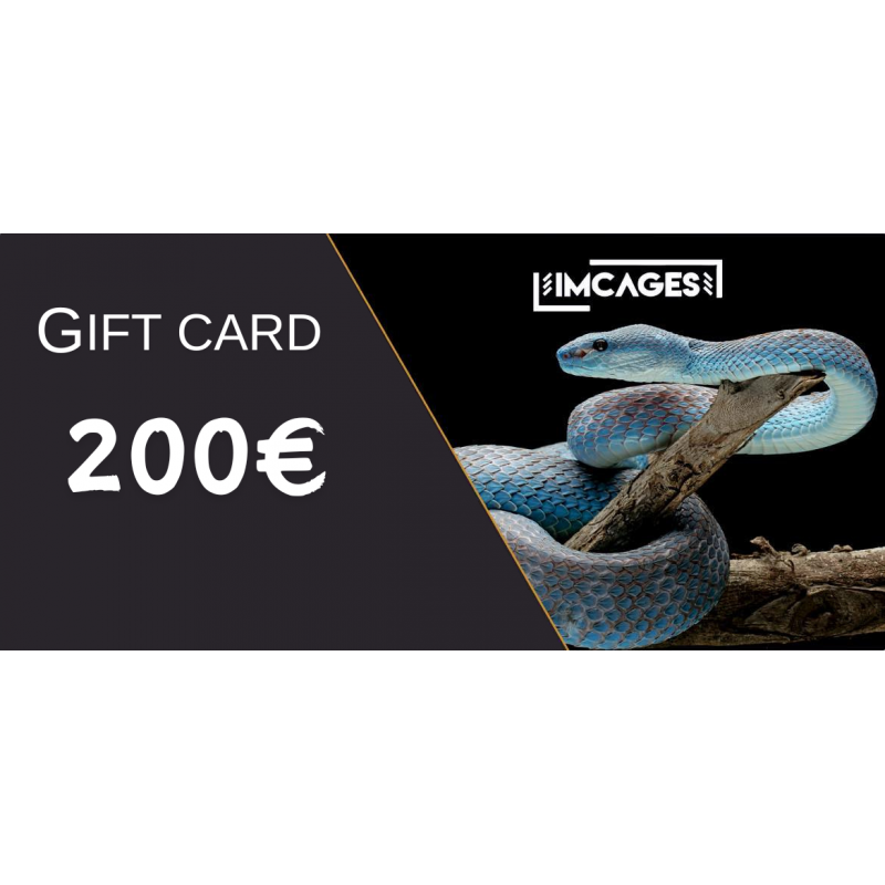 Karta Podarunkowa 200 euro