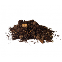 IMSOIL Podłoże do Juk, Dracen i Palm