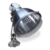 Arcadia Ceramic Reflector...