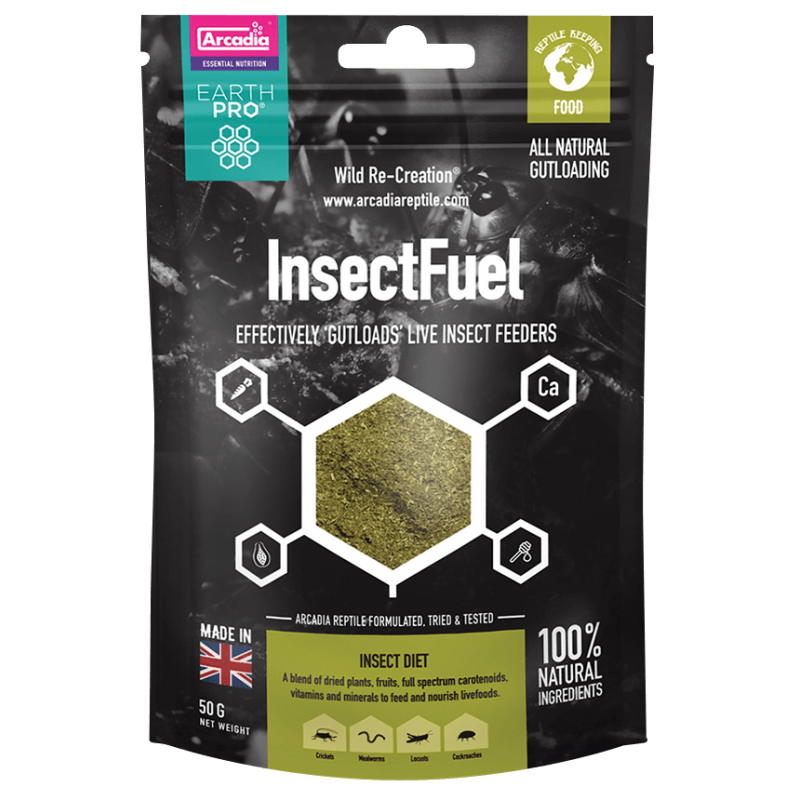 Food for Food Insects - Food - Imcages.com