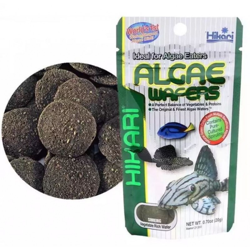 Fish Food for Algae Eaters - Imcages.com